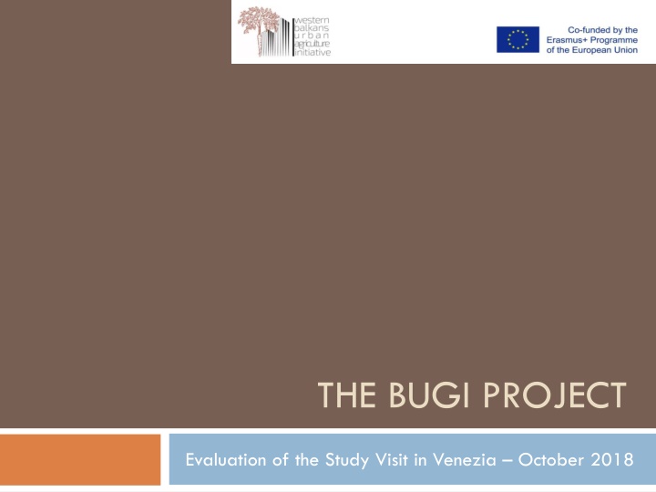 the bugi project