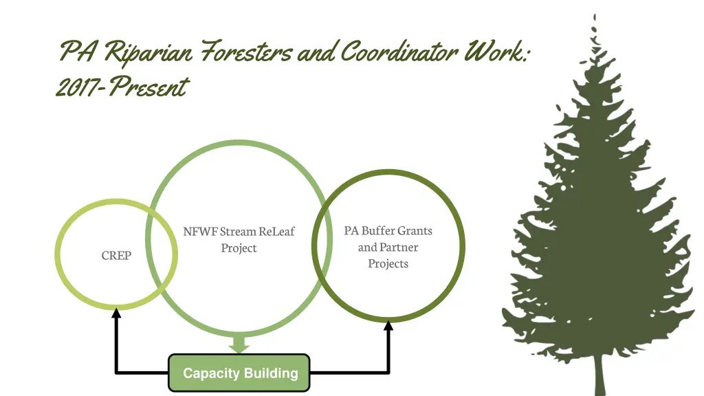 pa riparian foresters and coordinator work 2017