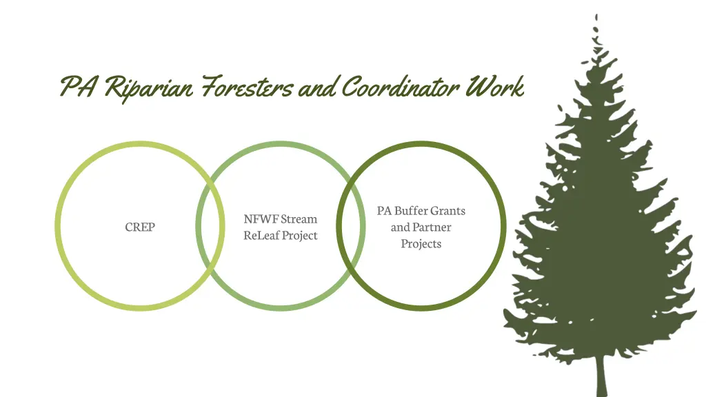pa riparian foresters and coordinator work