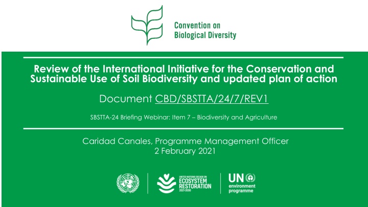 review of the international initiative