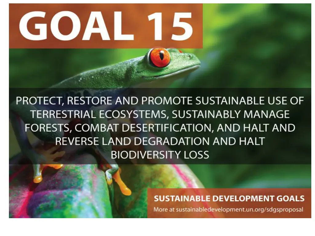 slide20