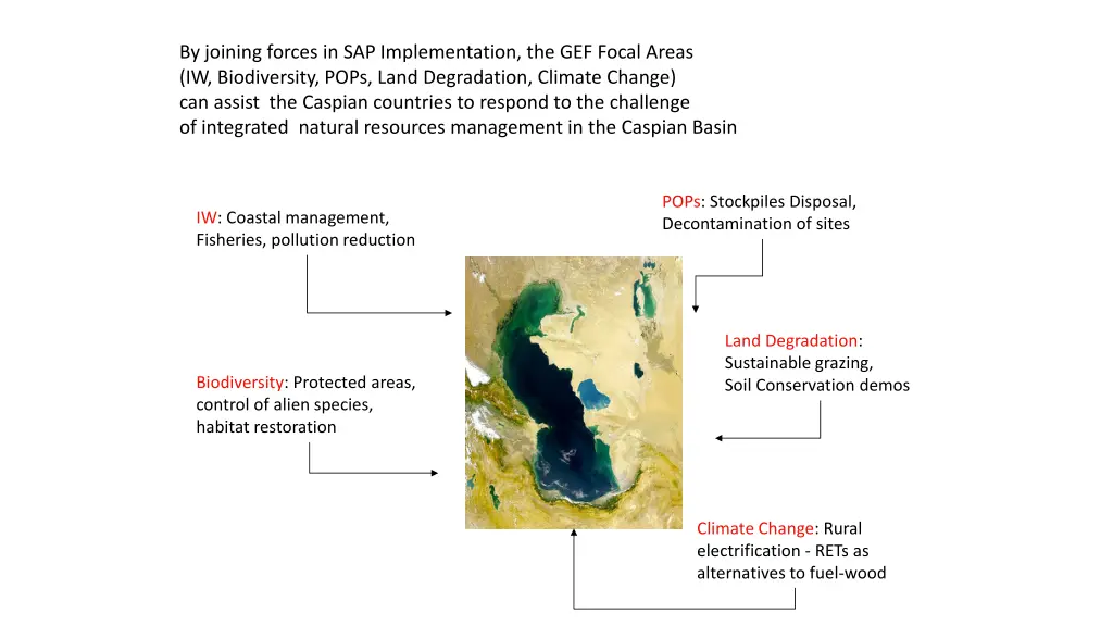 by joining forces in sap implementation