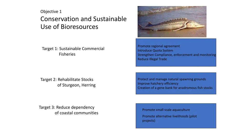 objective 1 conservation and sustainable