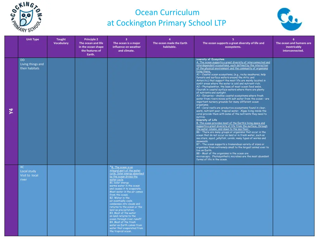 ocean curriculum at cockington primary school ltp 5