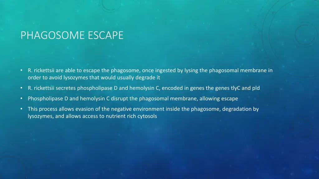 phagosome escape
