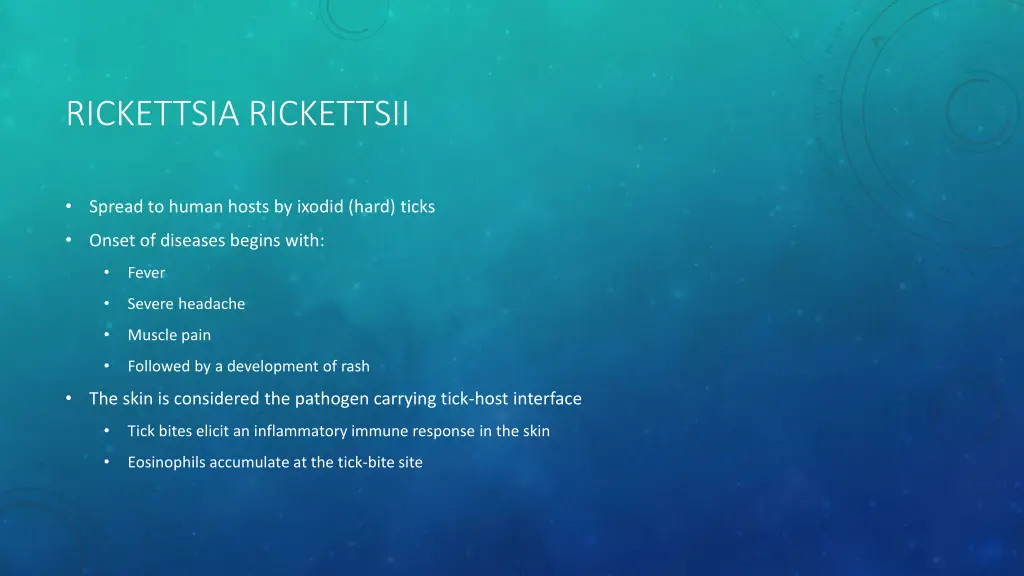 rickettsia rickettsii