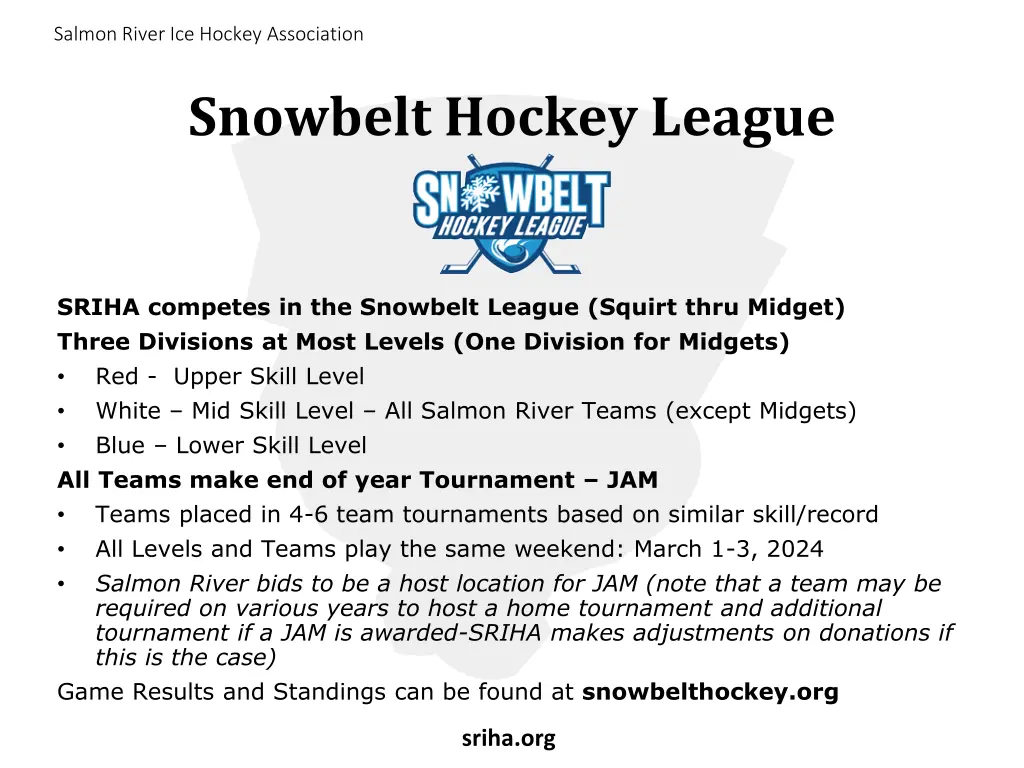salmon river ice hockey association 11