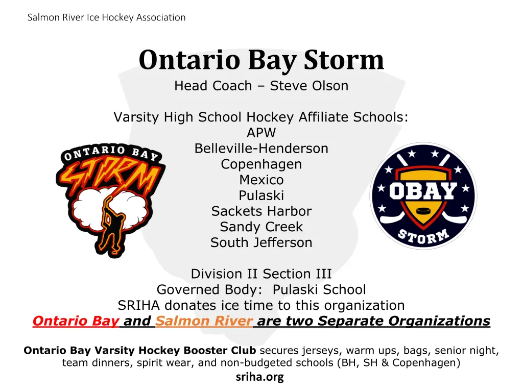 salmon river ice hockey association 14