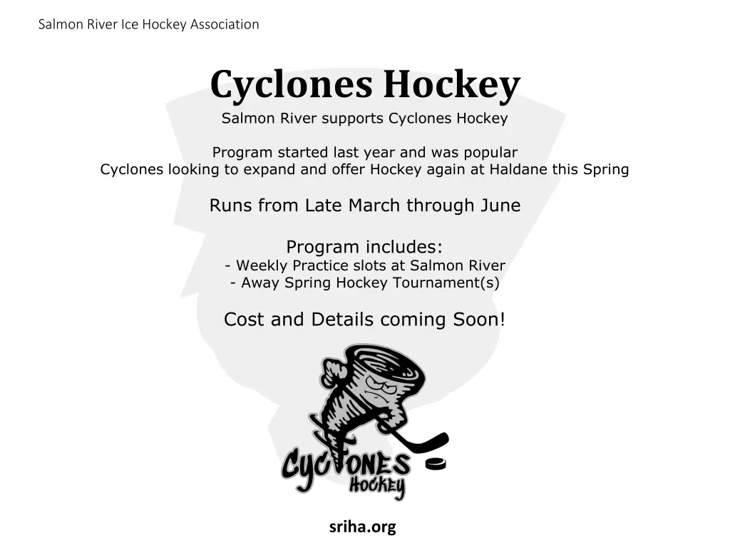 salmon river ice hockey association 15