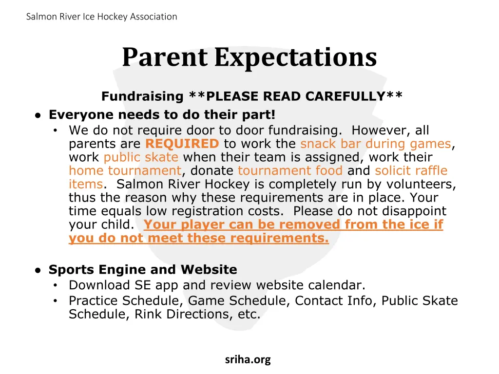 salmon river ice hockey association 4