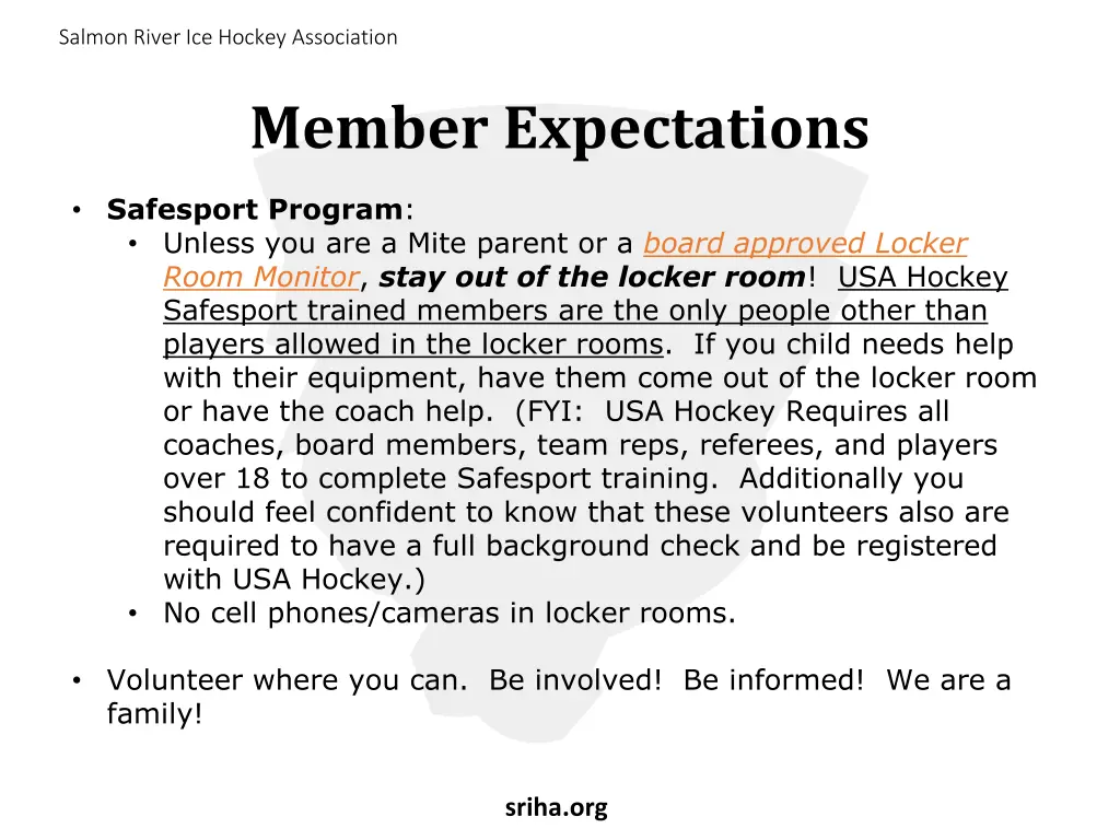 salmon river ice hockey association 7