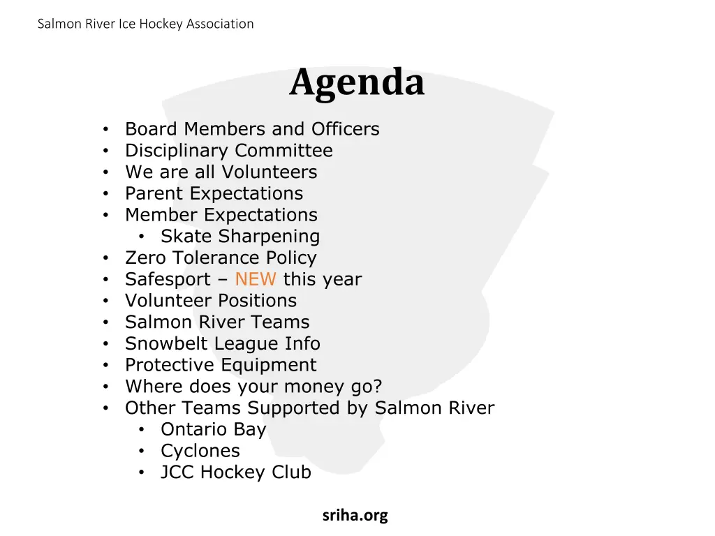 salmon river ice hockey association