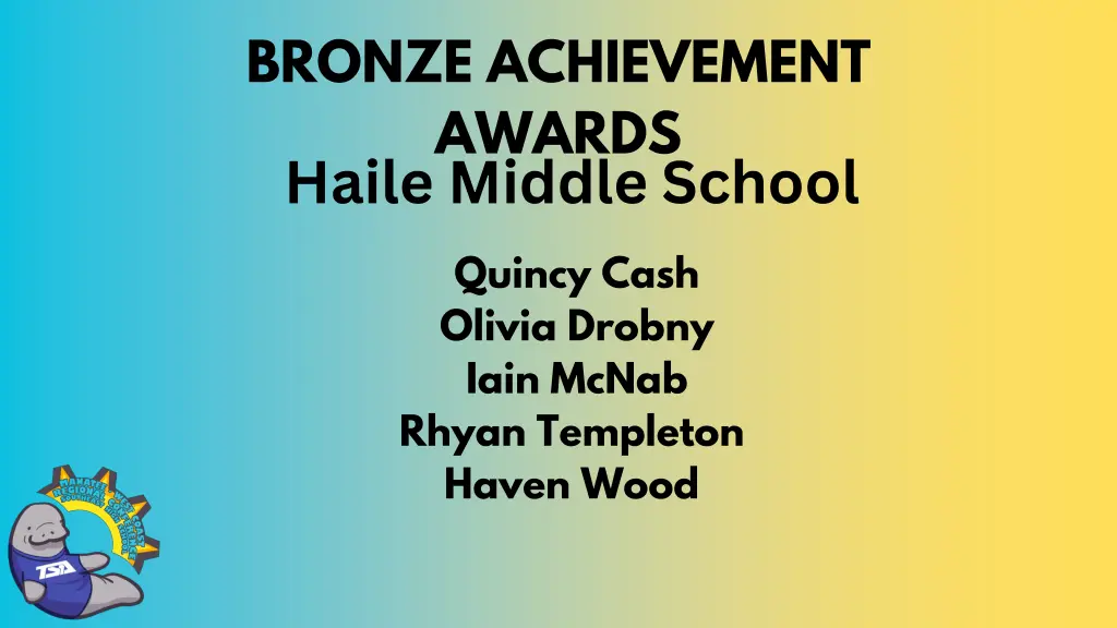 bronze achievement awards haile middle school