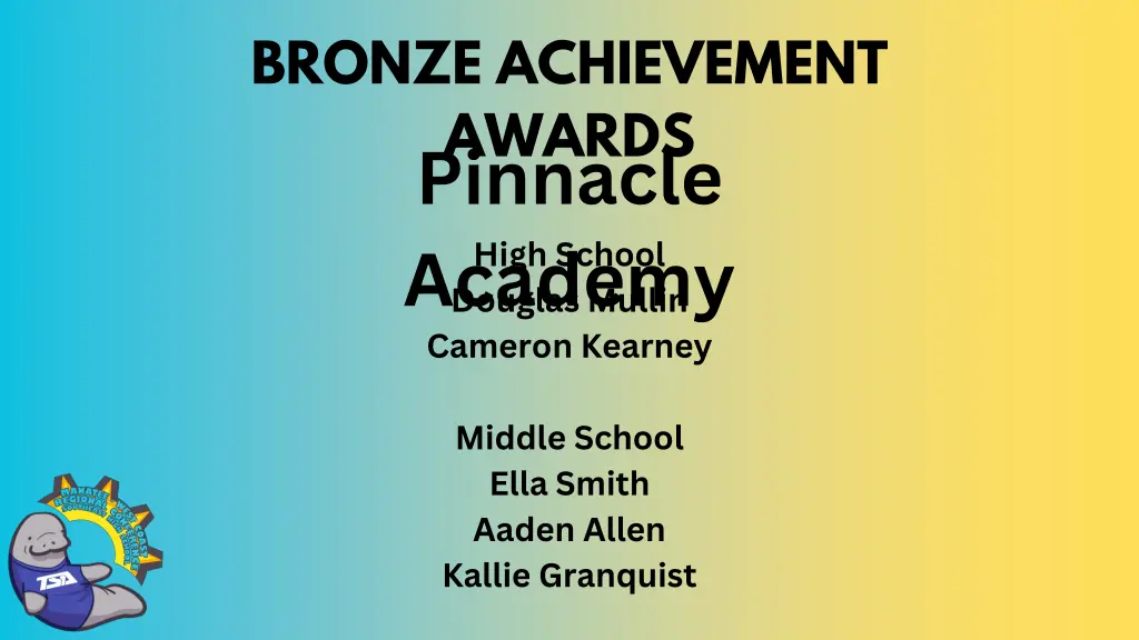 bronze achievement awards pinnacle academy