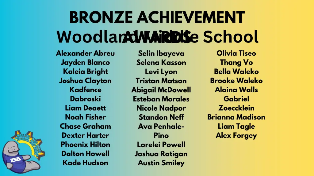 bronze achievement awards woodland middle school