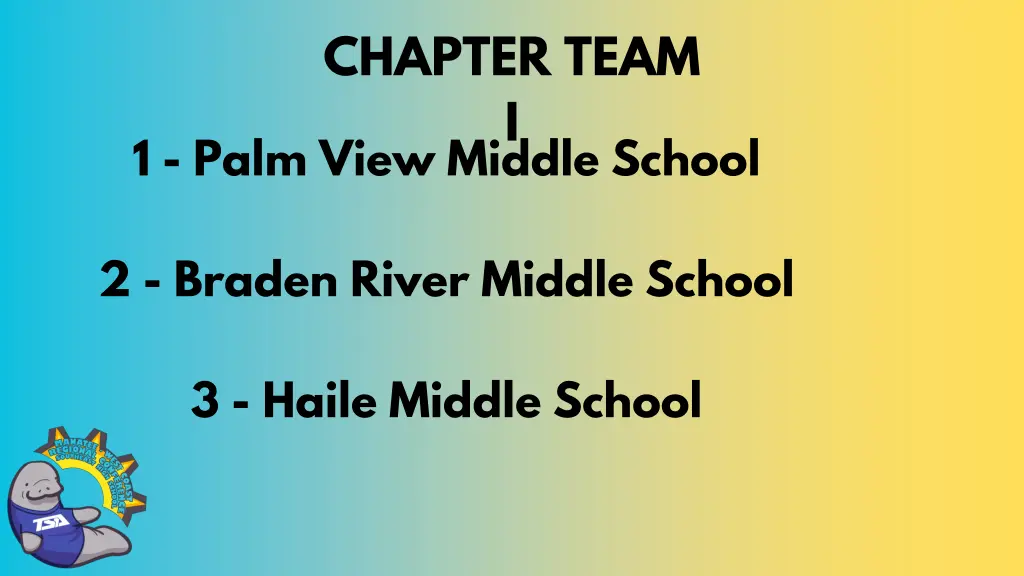 chapter team i 1 palm view middle school