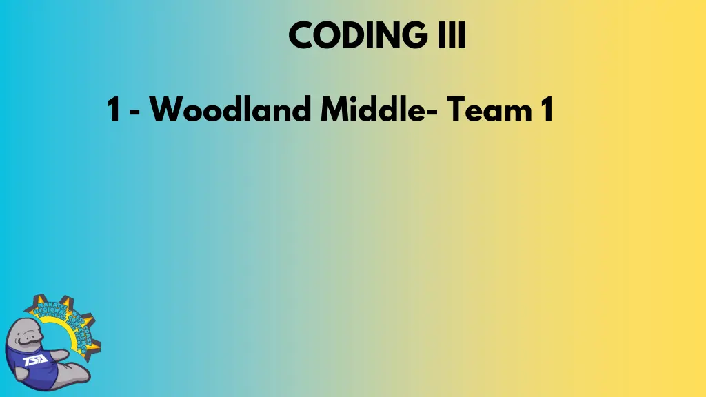 coding iii