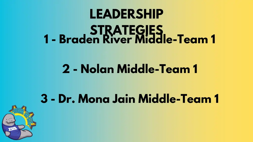 leadership strategies