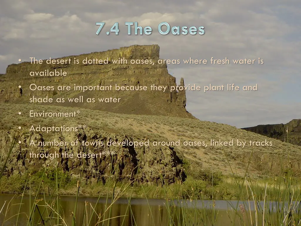 the desert is dotted with oases areas where fresh