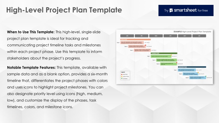 high level project plan template