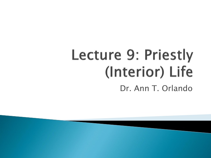 dr ann t orlando