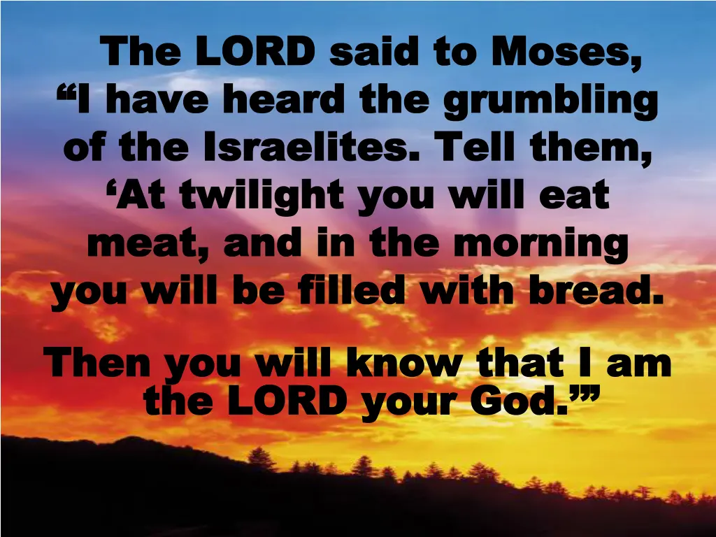 the lord said to moses the lord said to moses