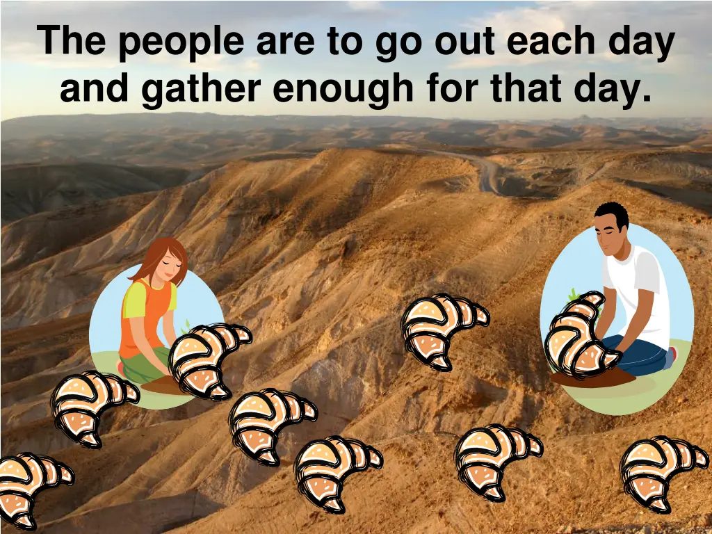 the people are to go out each day and gather