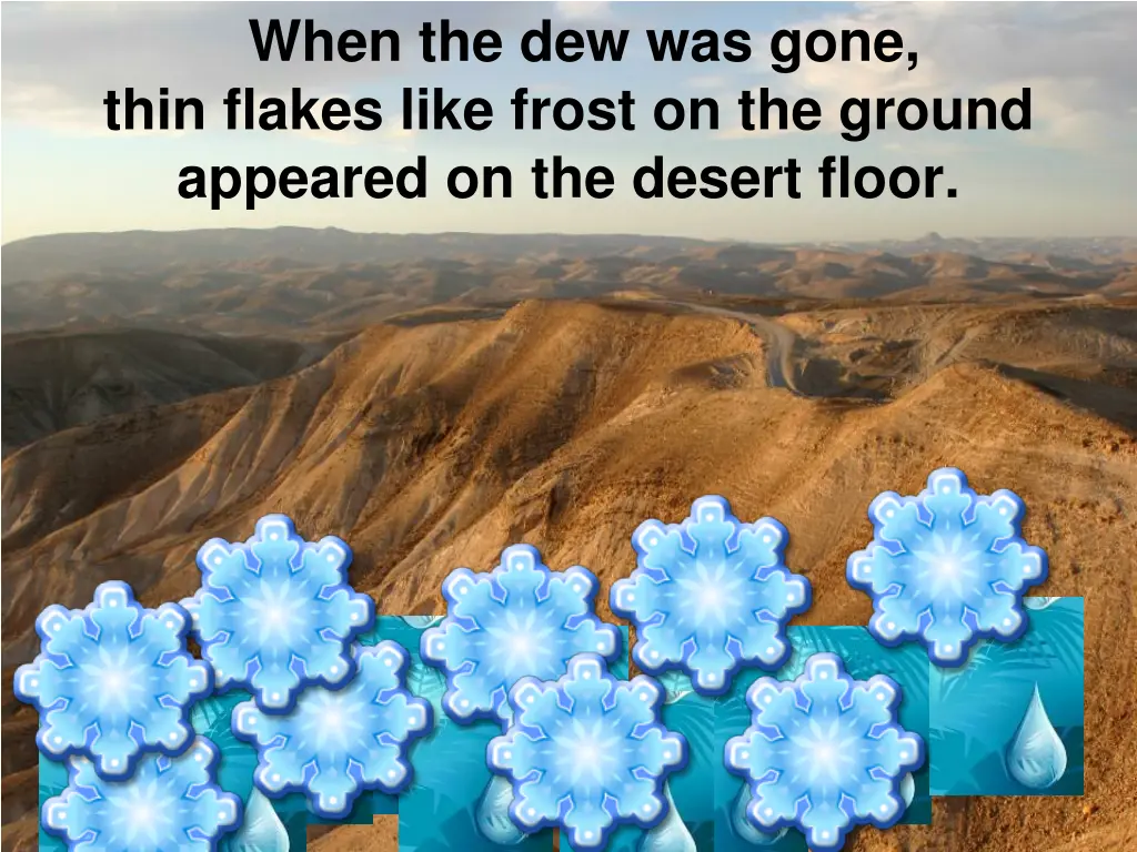 when the dew was gone thin flakes like frost