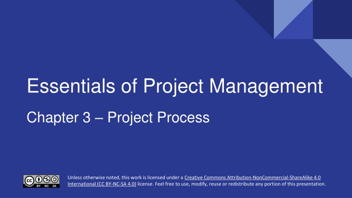 essentials of project management