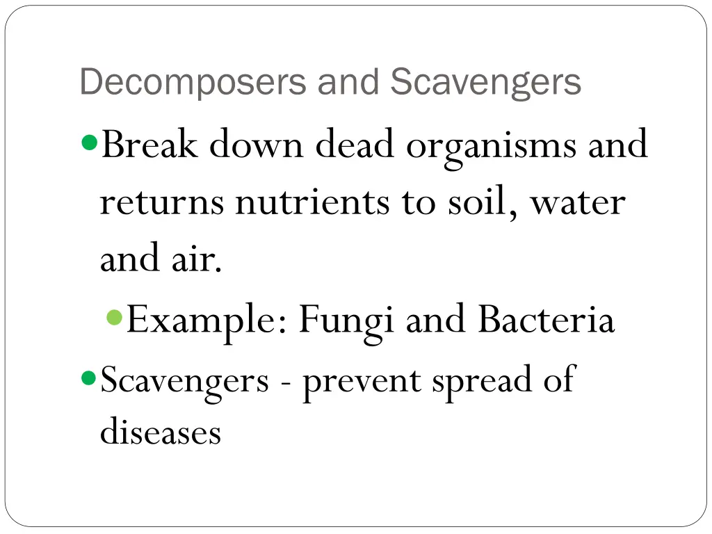 decomposers and scavengers break down dead