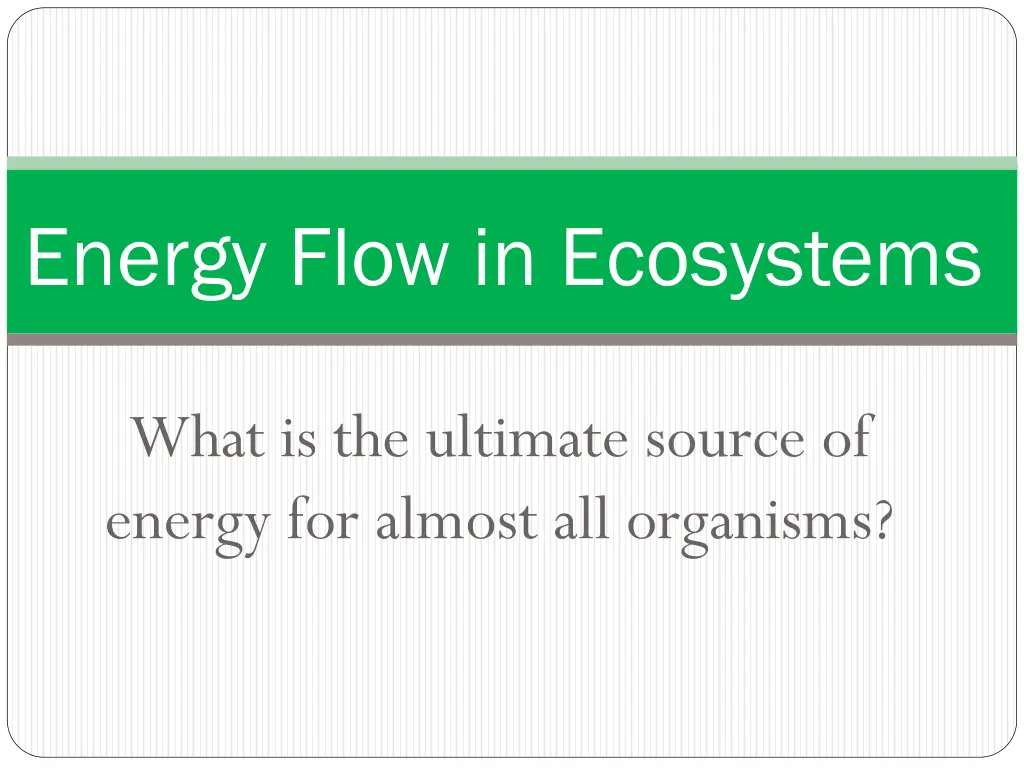 energy flow in ecosystems