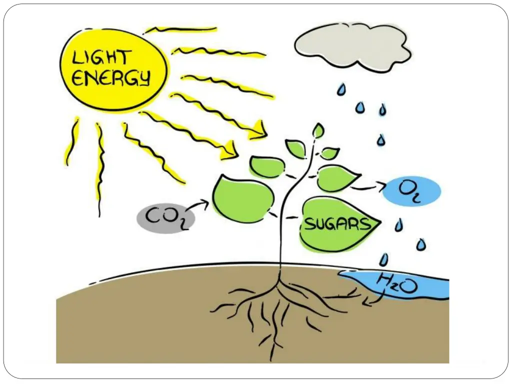 slide10