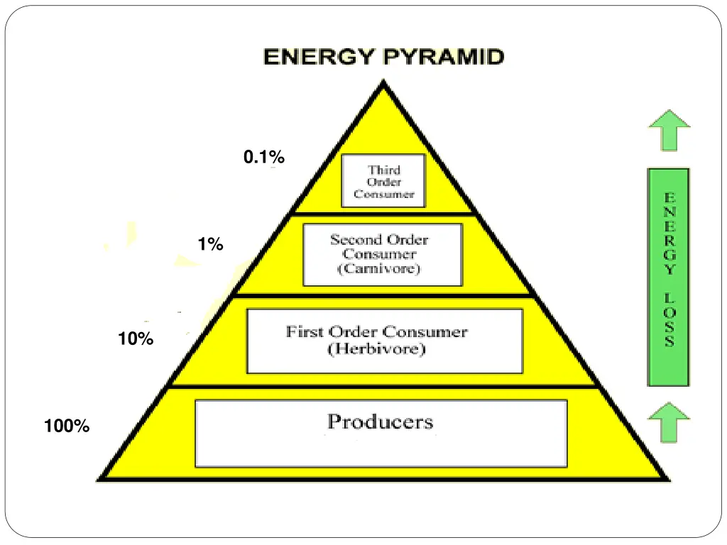 slide29