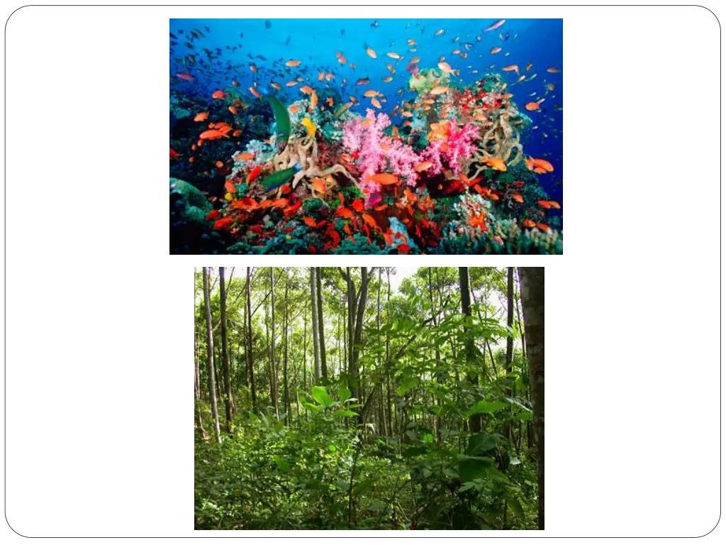 slide5