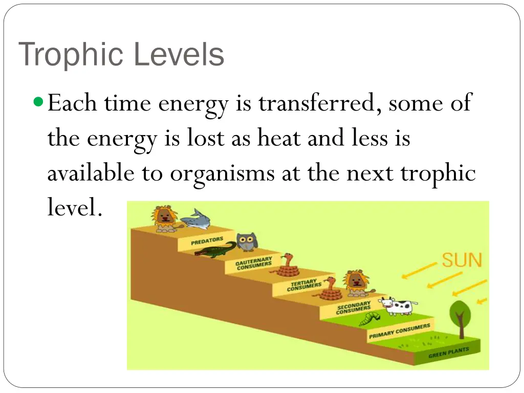 trophic levels 1