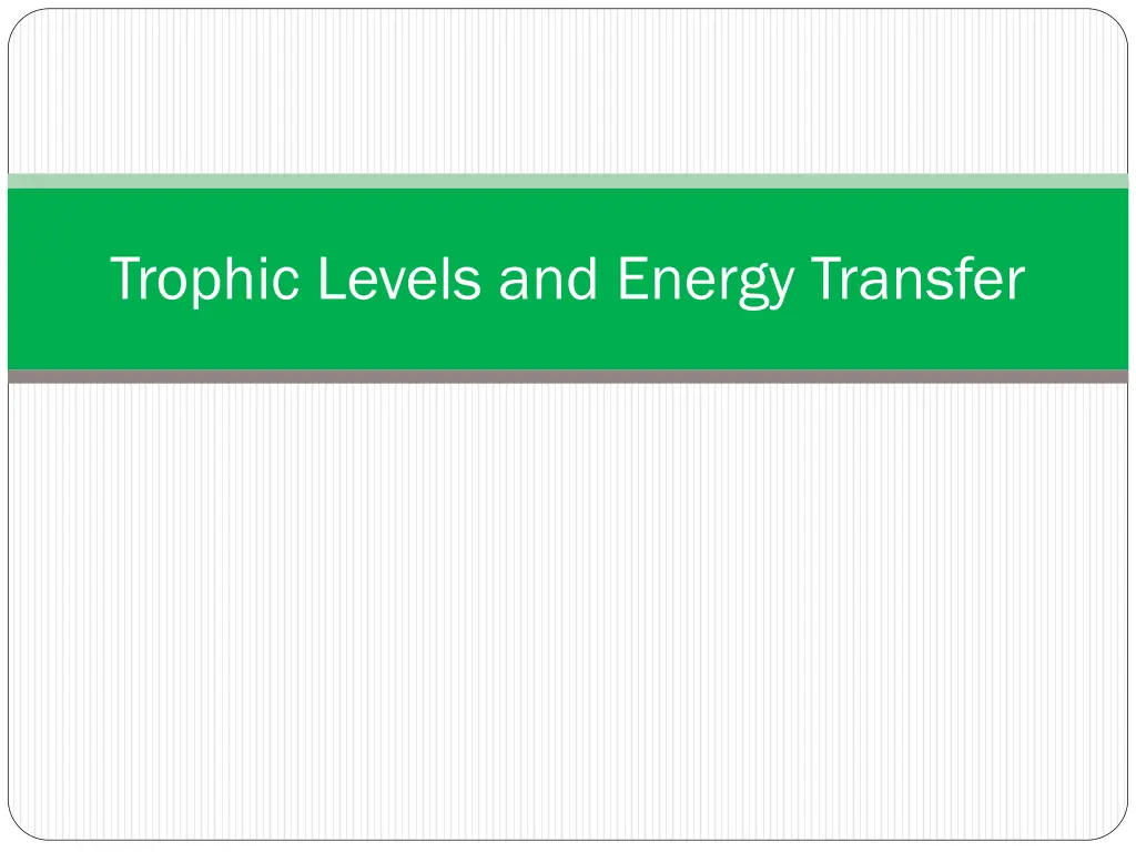 trophic levels and energy transfer