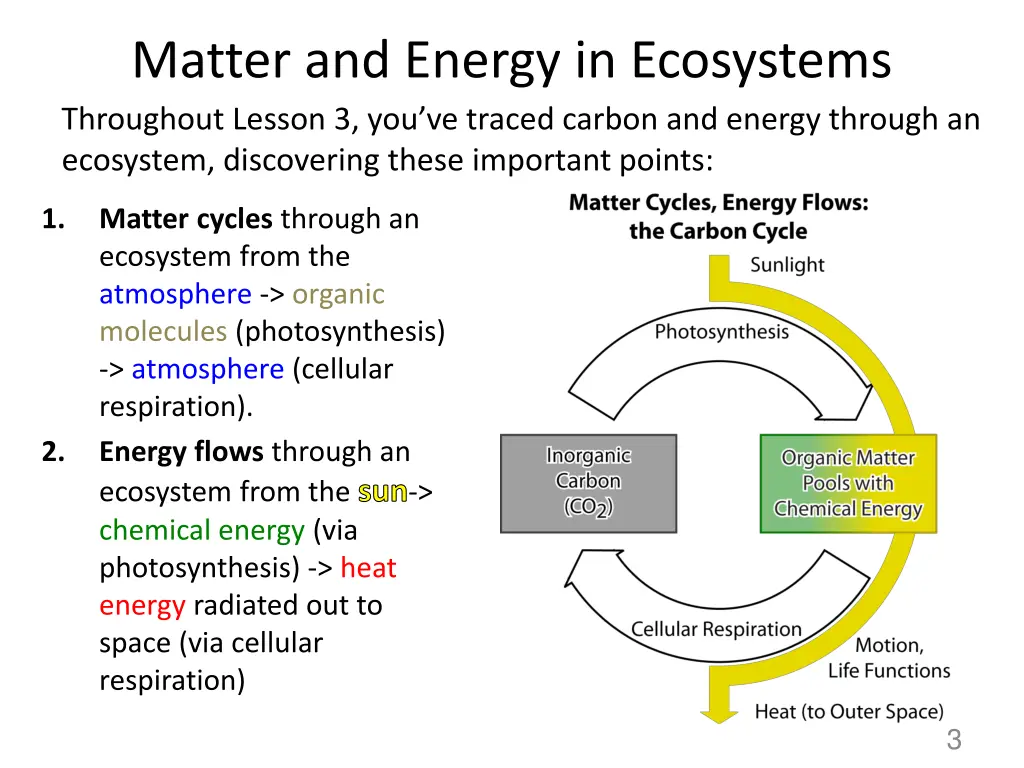 matter and energy in ecosystems throughout lesson