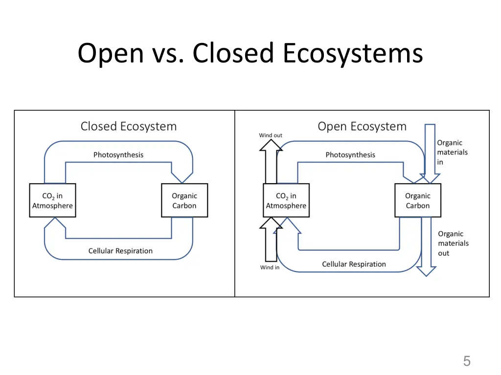 open vs closed ecosystems