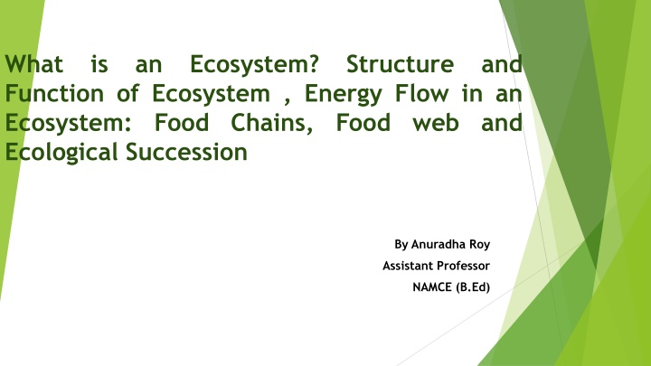 what function of ecosystem energy flow