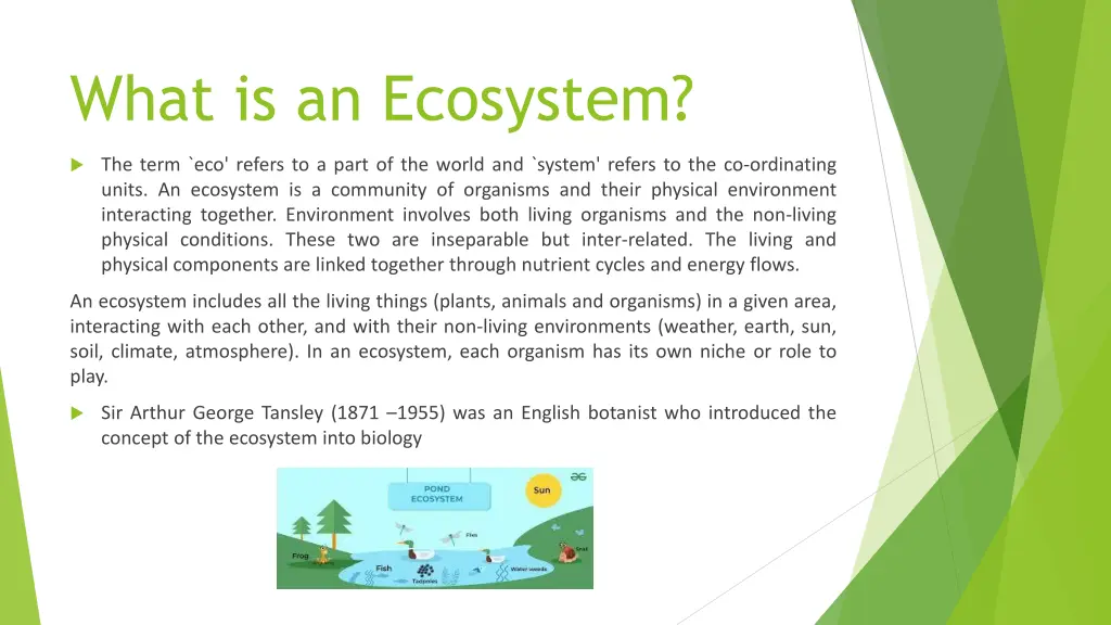 what is an ecosystem