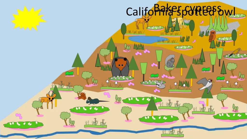 baker cypress california spotted owl