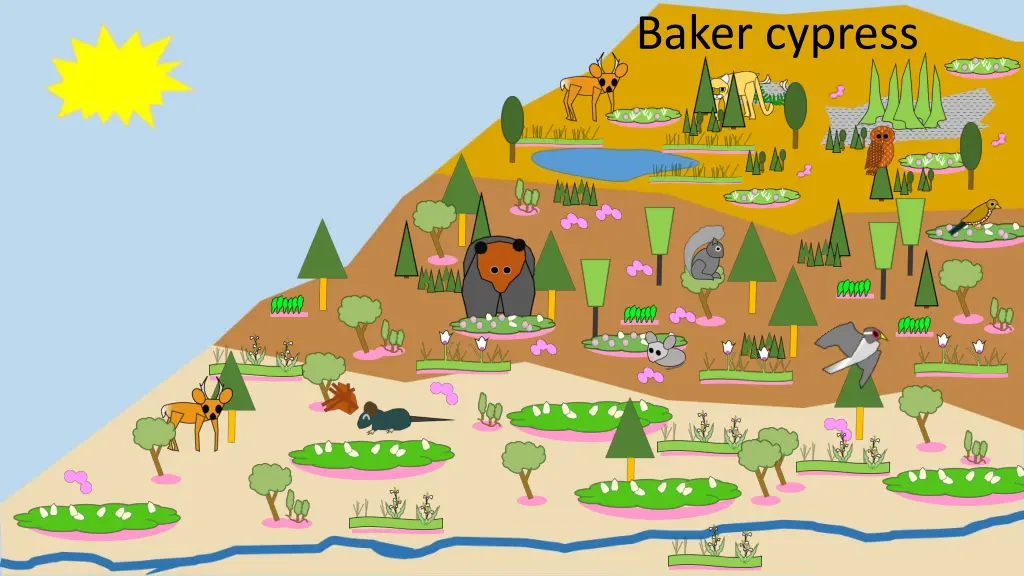 baker cypress