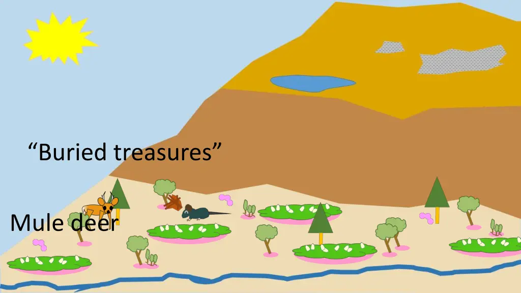 buried treasures