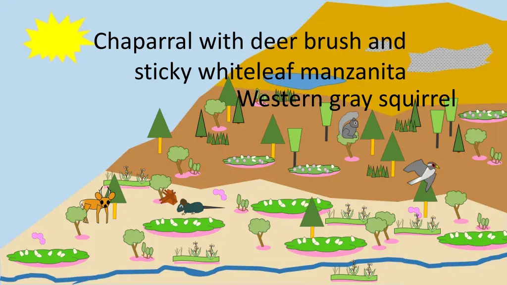 chaparral with deer brush and sticky whiteleaf