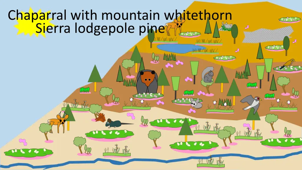 chaparral with mountain whitethorn sierra