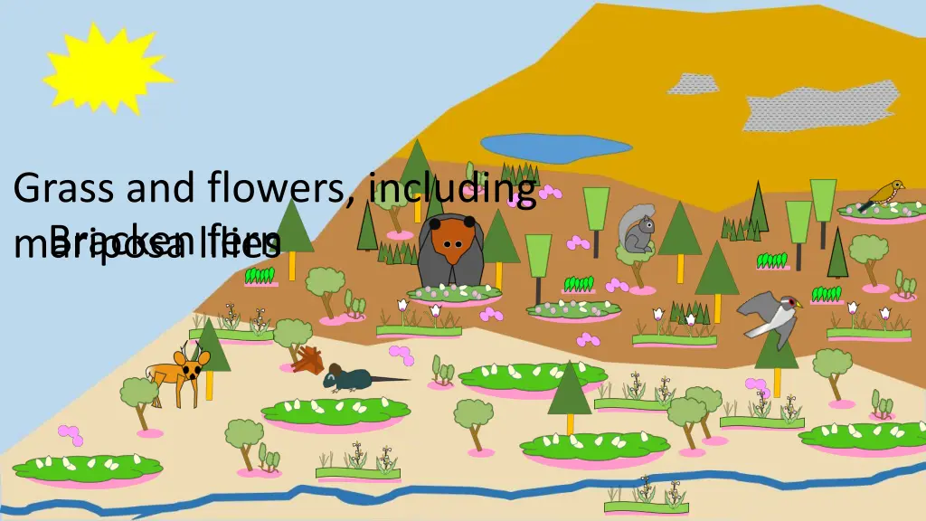 grass and flowers including 1