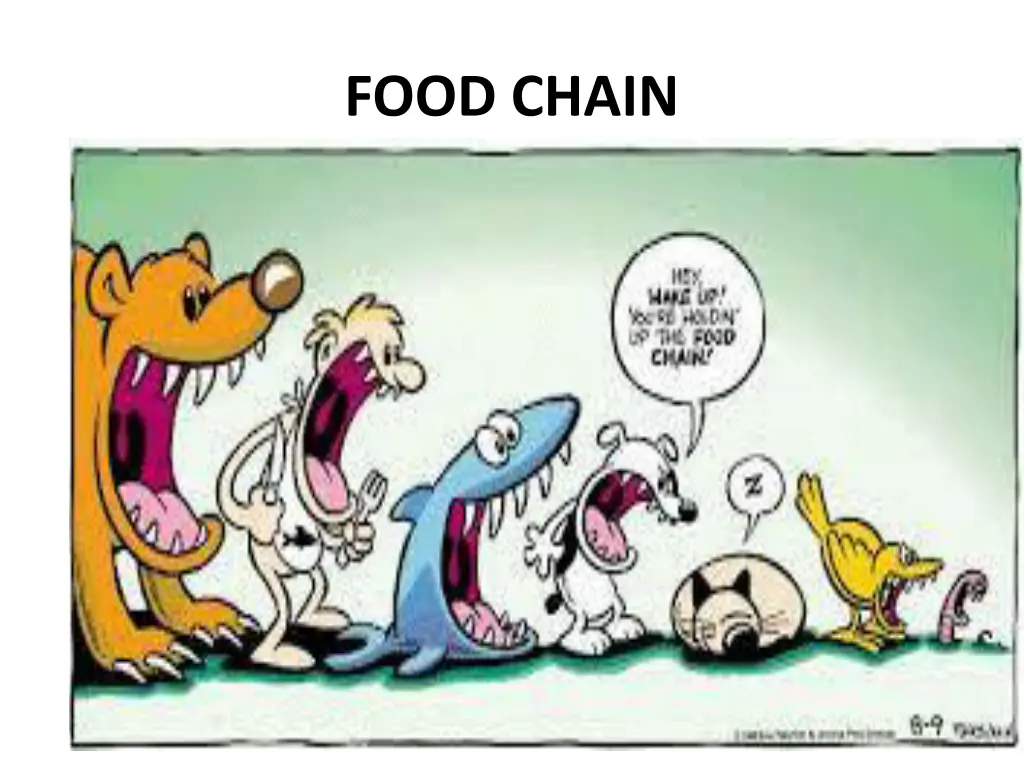 food chain 1