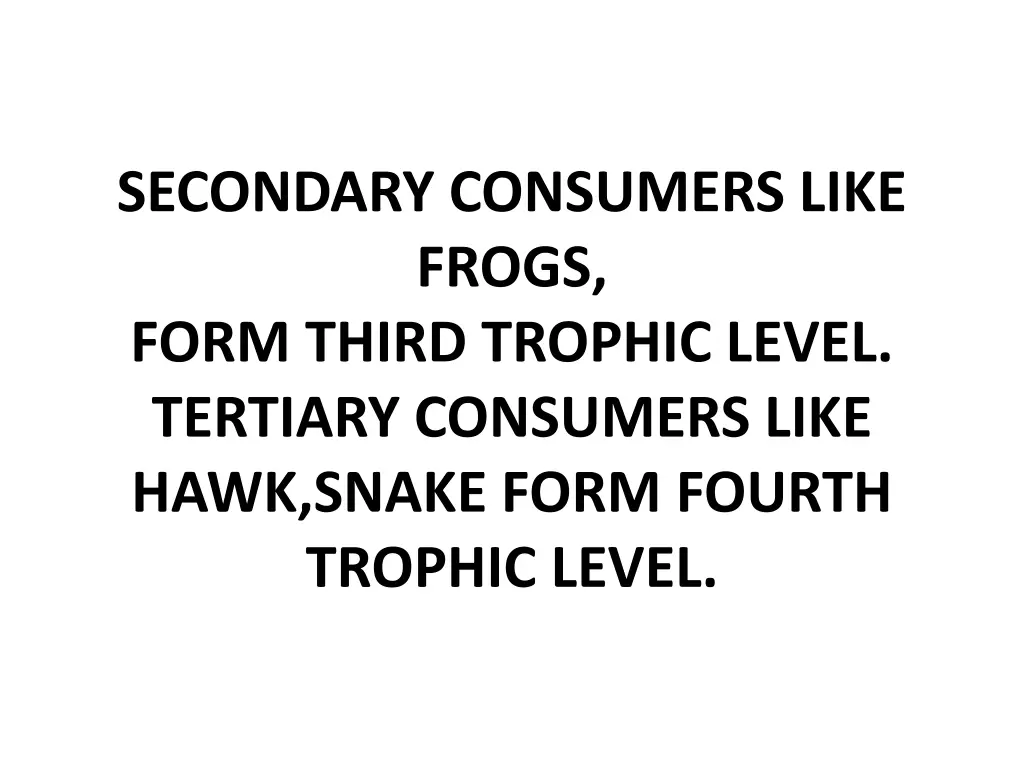 secondary consumers like frogs form third trophic