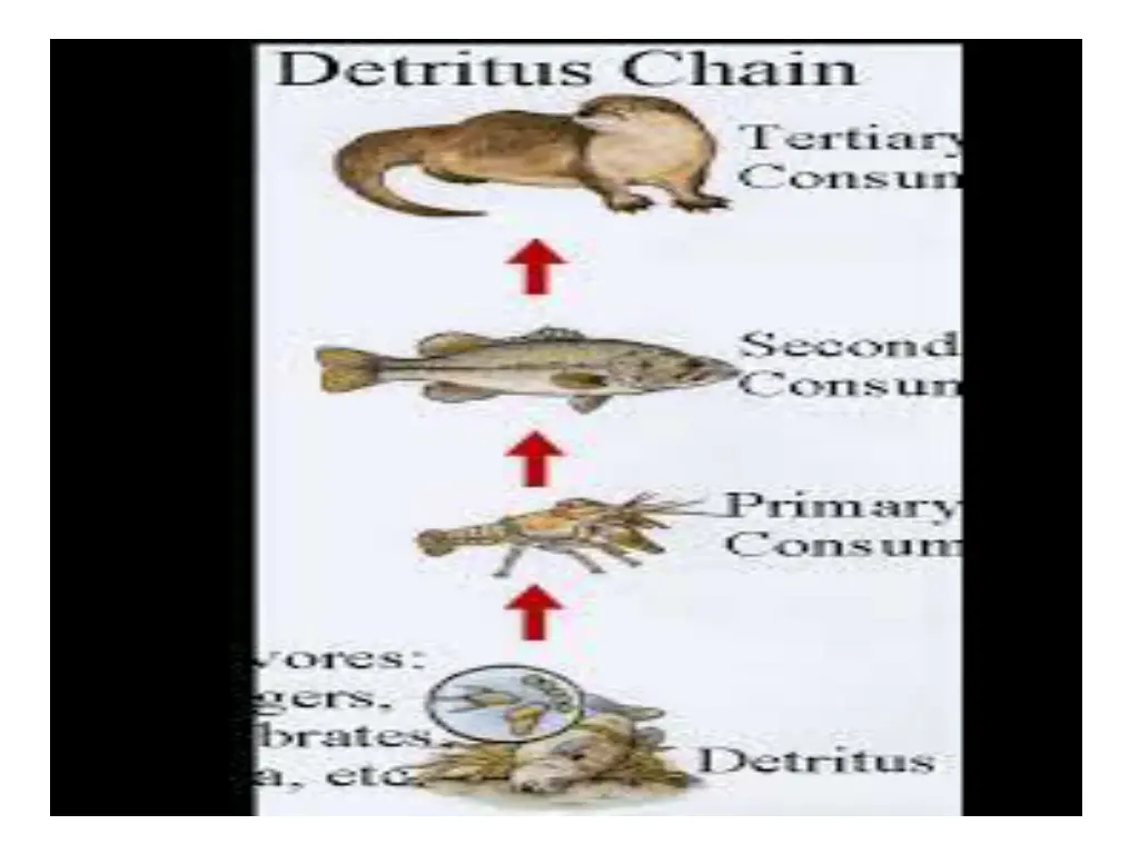 slide25