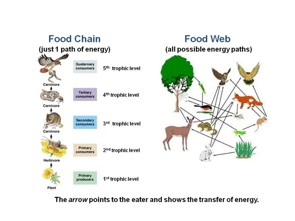 slide29
